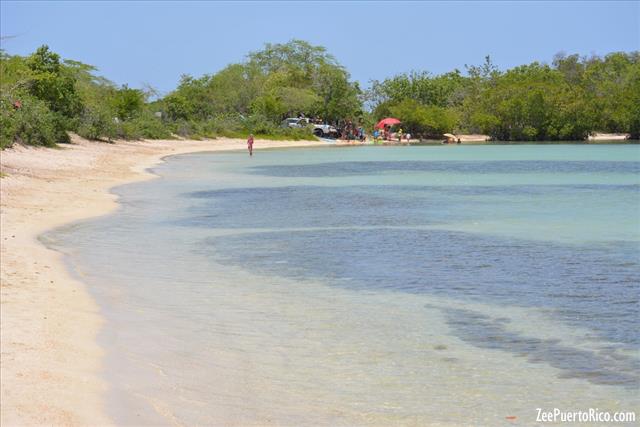 Playa La Jungla Zeepuertorico Com